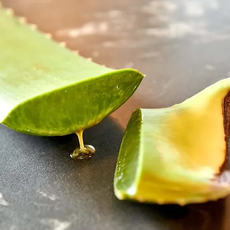 Graenobel Dağ evi Grän