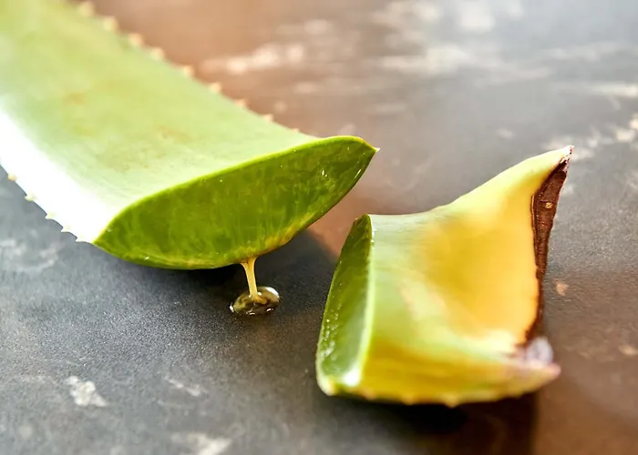 Graenobel Chalé Grän